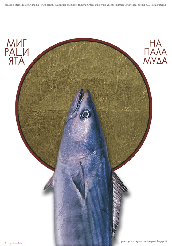 ДИПЛОМНА РАБОТА БА 2012, Яна Анева